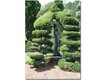 topiary_garden.jpg