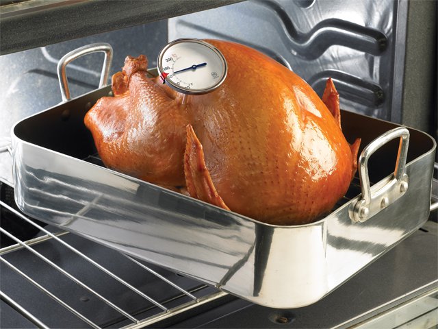 Holiday_cooking_turkey.jpg
