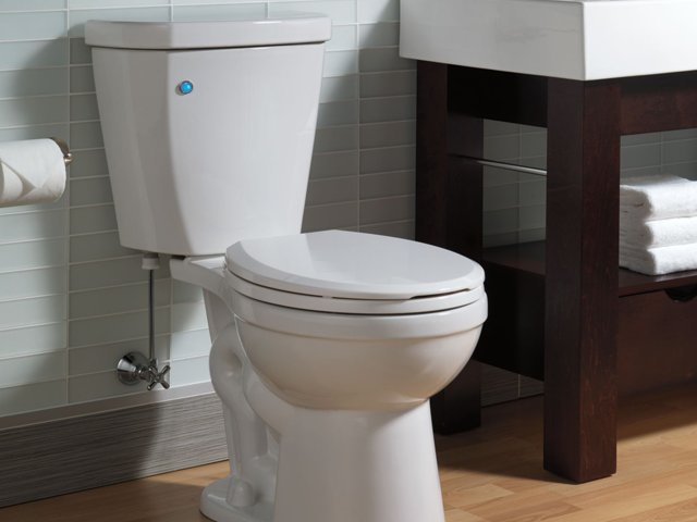 Delta Flush IQ toilet