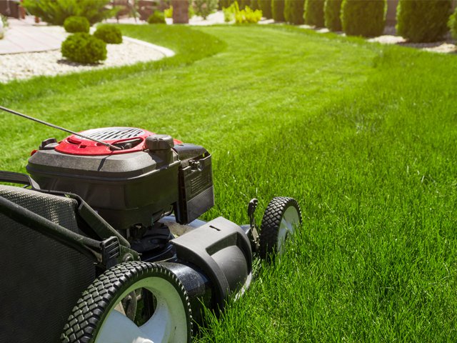 Five-Mistakes-Lawn-Care-credit-Mariusz Blach_istockphoto.png