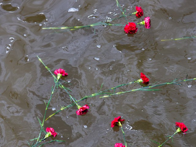 carnations.jpg