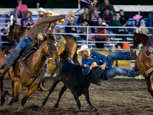 Blythewood-rodeo-steer-wrestling.png
