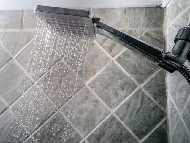 Showerhead_Source_MarkGilliland.png