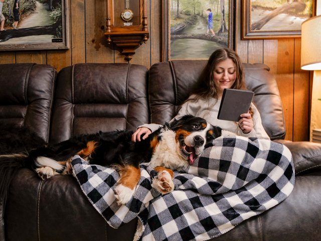 woman-reading-tablet-bernese-mountain-dog-cozy-home.png