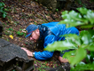 hiker-inspecting-forest-terrain.png