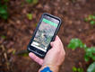 using-gps-navigation-in-wet-forest.png