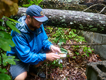 hiker-resting-in-forest-clearing.png